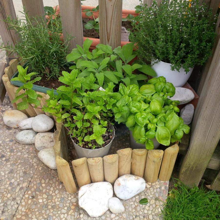 Casa Del Sole Apartments With Garden Marina Di Pisa Exterior photo